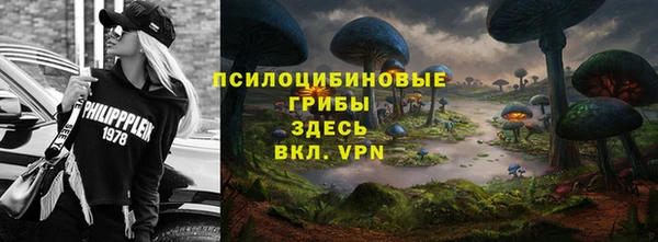 PSILOCYBIN Беломорск